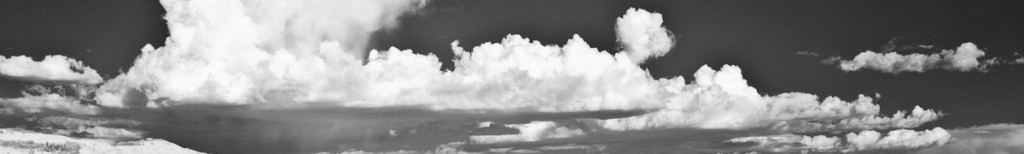 Forensic Lightroom Support