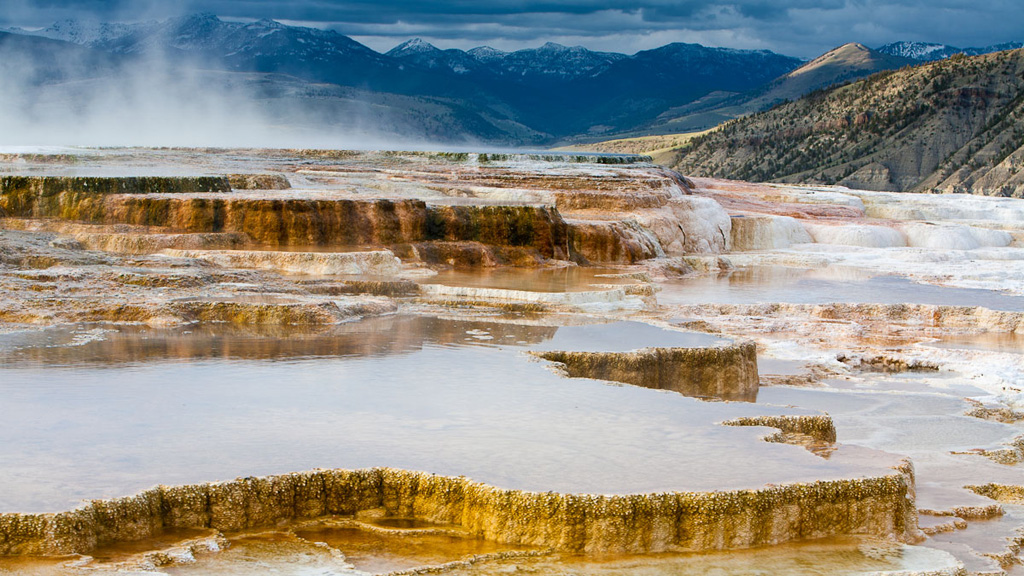 Canary Spring in Yellowstone National Park