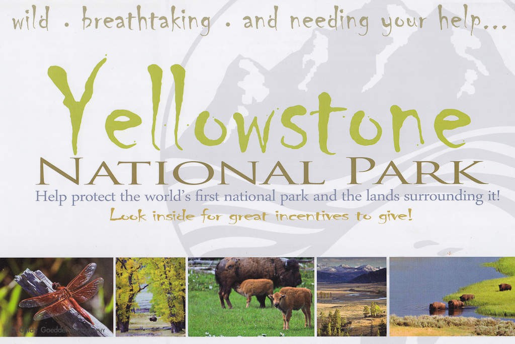 Greater Yellowstone