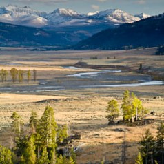 yellowstone portfolio lamar valley