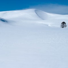Ice Cream Hills