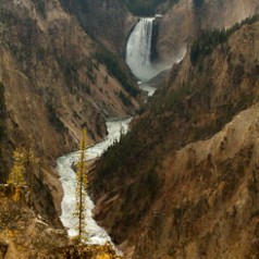 Lower Falls of the Yellowstone RIver