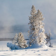 Winter Sunrise at Yellowstone Lake