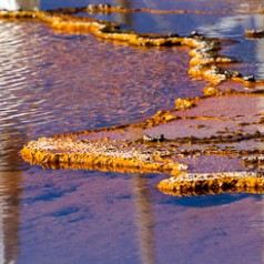 Opalescent Pool Abstract