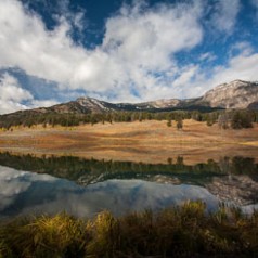 Trout Lake