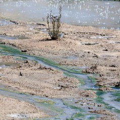 Mud Volcano Run-off