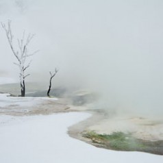 Canary Springs in Winter’s Grip