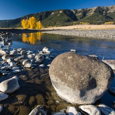 Lamar River Autumn Morning