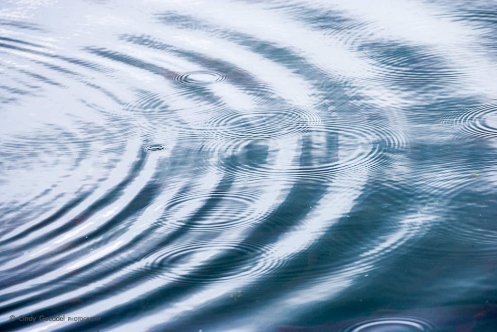 Rain Ripples | Cindy Goeddel Photography, LLC