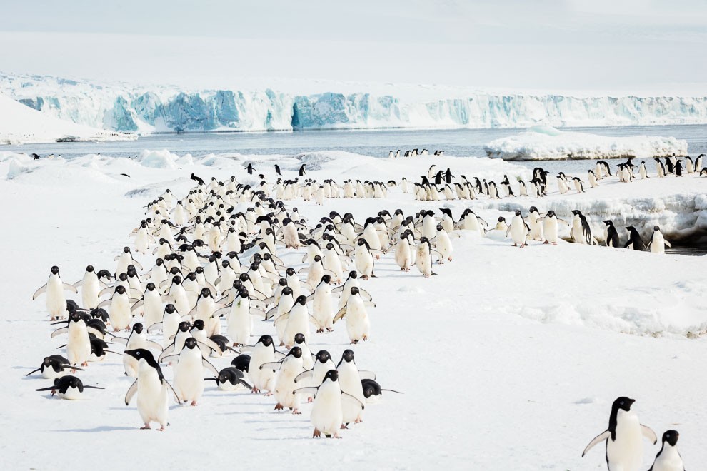 Pilgrimage on the Ice